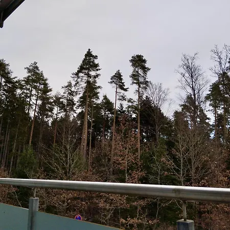 G&p Housing Mit Kueche & Balkon & Highspeed Internet- Comfort Daire Altensteig