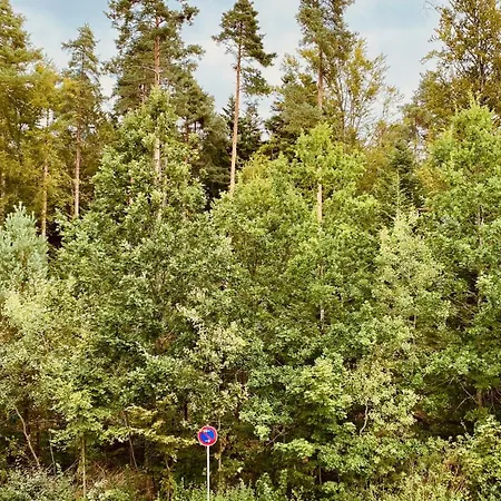 G&p Housing Mit Kueche & Balkon & Highspeed Internet- Comfort Daire