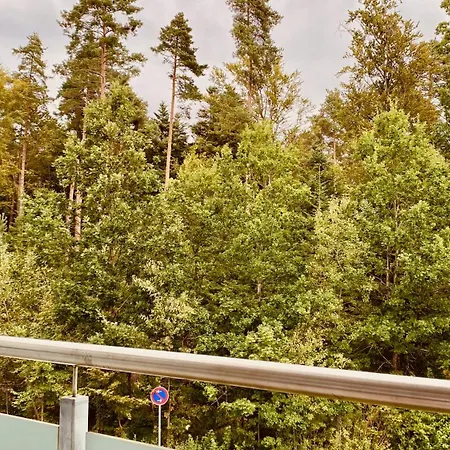 G&p Housing Mit Kueche & Balkon & Highspeed Internet- Comfort Altensteig