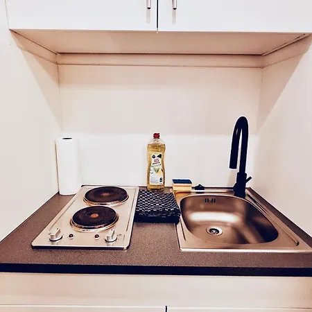 G&p Housing Mit Kueche & Balkon & Highspeed Internet- Comfort * Altensteig