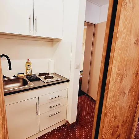 G&p Housing Mit Kueche & Balkon & Highspeed Internet- Comfort Daire Altensteig